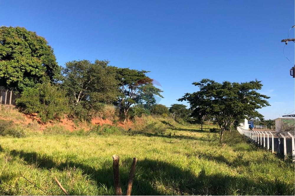 Terreno - Venda - Tupã , São Paulo - IMG-20250718-WA0047.jpg - 630151002-149