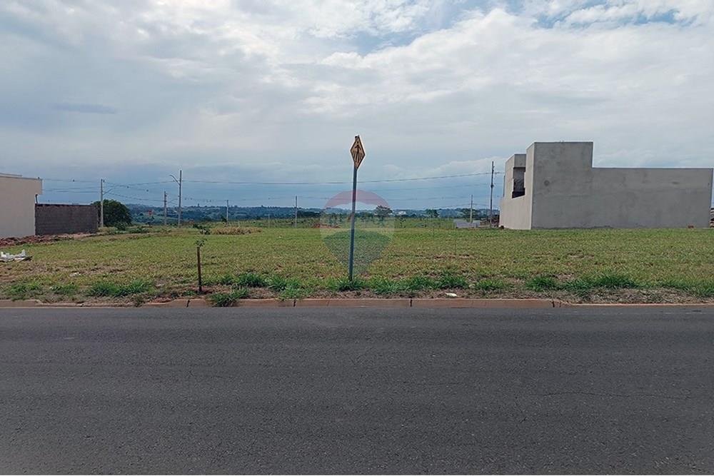 Terreno - Venda - Presidente Prudente , São Paulo - IMG_20251028_135806.jpg - 630861066-10