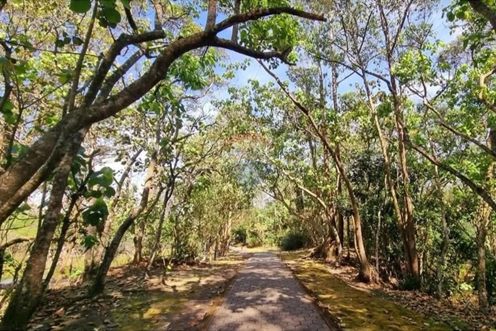 Casa - Alugar - Mogi das Cruzes , São Paulo - WhatsApp Image 2025-06-02 at 01.27.31.jpeg - 630281025-141