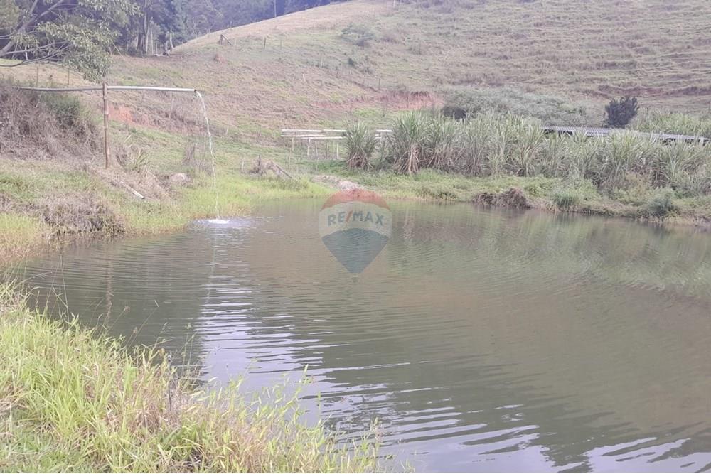 Agro - Venda - Santa Maria Madalena , Rio de Janeiro - WhatsApp Image 2025-05-29 at 13.32.30.jpeg - 630171007-50