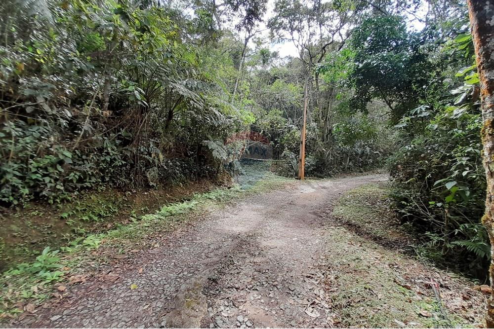 Terreno - Venda - Teresópolis , Rio de Janeiro - 20251012_093626.jpg - 630191084-20