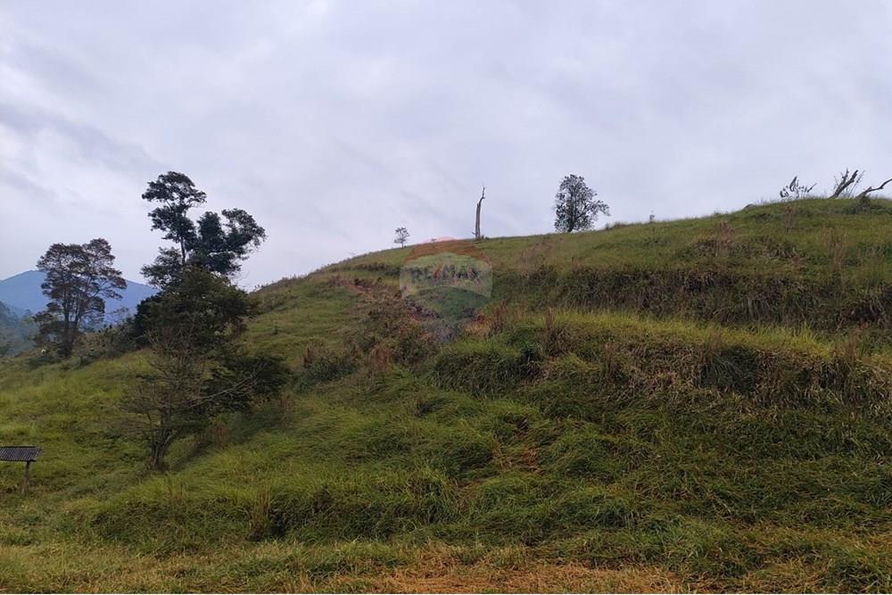 Chácara / Sítio / Fazenda - Venda - Duas Barras , Rio de Janeiro - 79.jpg - 630171001-39