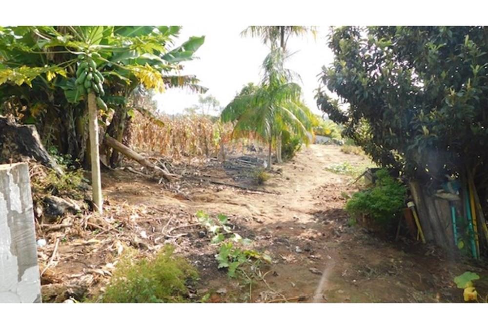 Chácara / Sítio / Fazenda - Venda - São Roque , São Paulo - PHOTO-2025-03-18-16-25-48 (10).jpg - 631601004-118