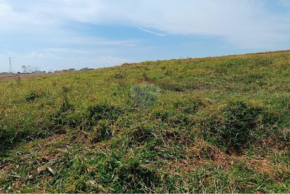 Terreno - Venda - Presidente Prudente , São Paulo - 6.jpeg - 630861066-2