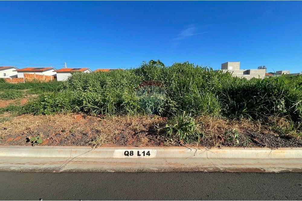 Terreno - Venda - Bady Bassitt , São Paulo - WhatsApp Image 2025-01-14 at 17.34.39 (2).jpeg - 631481002-92