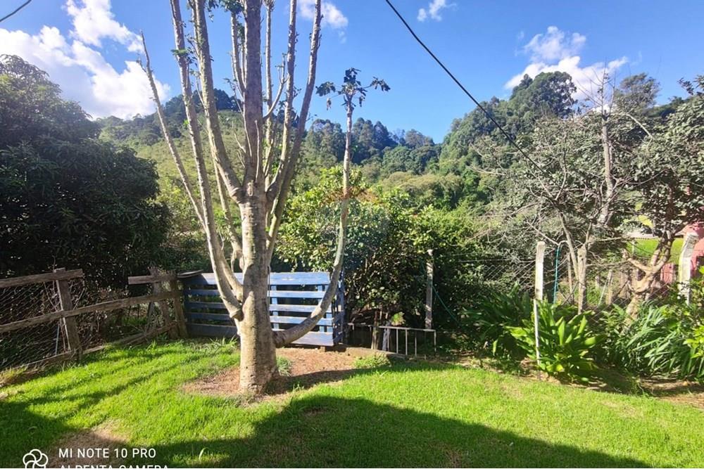 Chácara / Sítio / Fazenda - Venda - Toledo , Minas Gerais - WhatsApp Image 2025-02-28 at 11.28.05.jpeg - 630251077-54