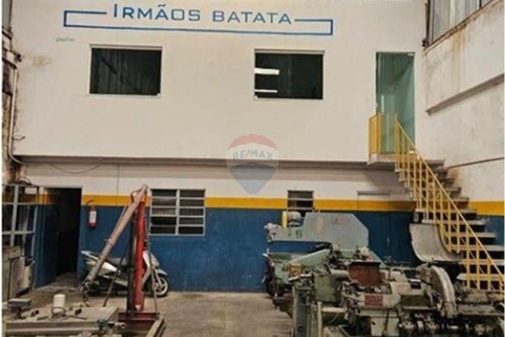 Galpão - Venda - São Paulo , São Paulo - Captura de tela 2025-03-28 085853.jpg - 630251077-79