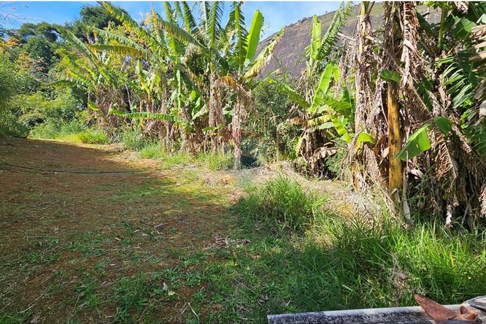 Terreno - Venda - Petrópolis , Rio de Janeiro - 20250623_112215.jpg - 631611012-16