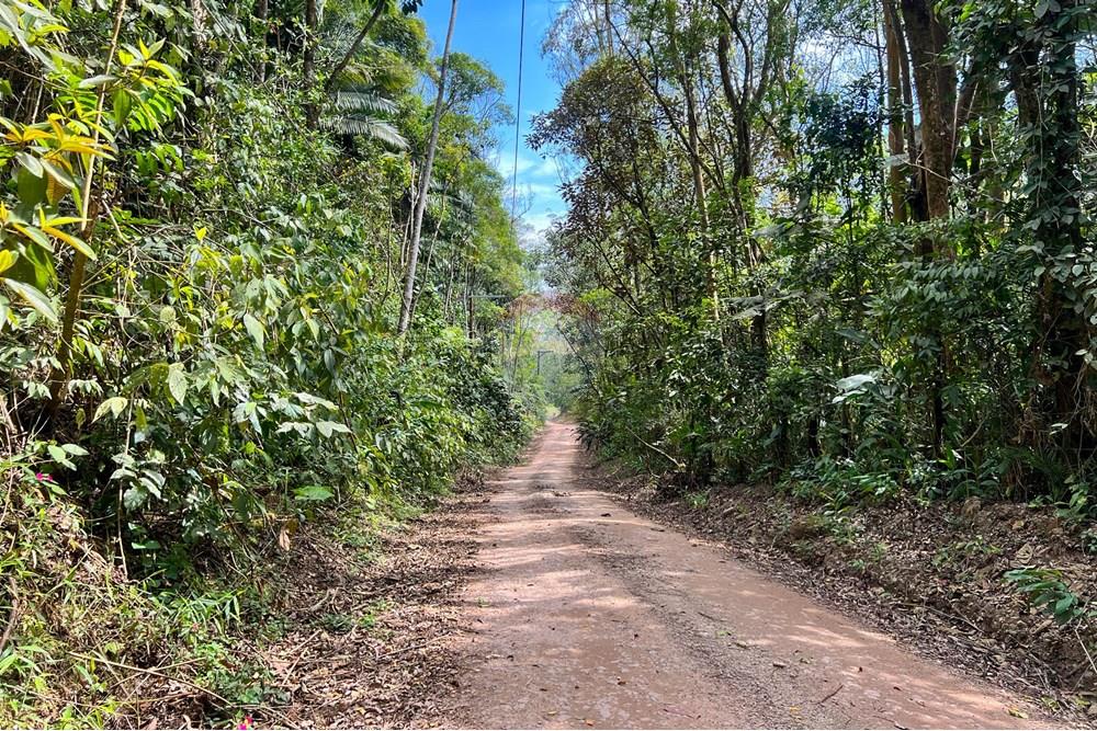 Terreno - Venda - Ribeirão Pires , São Paulo - IMG_2802.jpg - 631371018-44