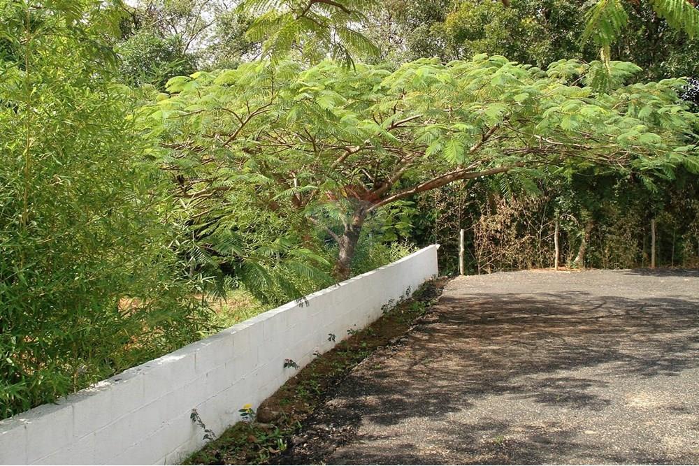 Galpão - Alugar - Sorocaba , São Paulo - DSC00116.JPG - 631661001-39