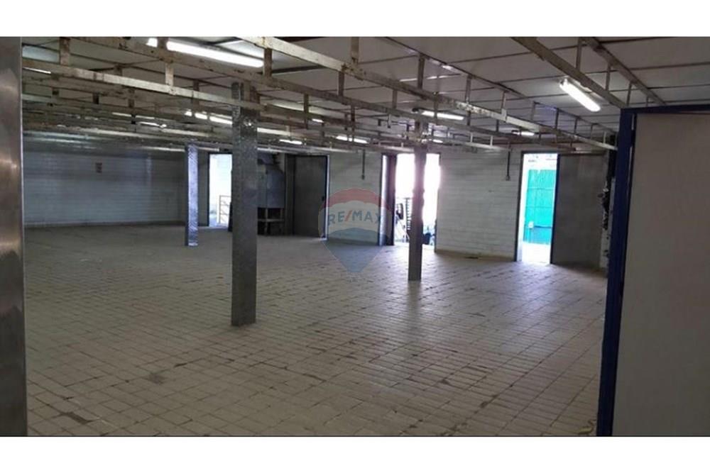 Galpão - Alugar - São Paulo , São Paulo - WhatsApp Image 2025-04-15 at 13.18.23 (3).jpeg - 631531001-131