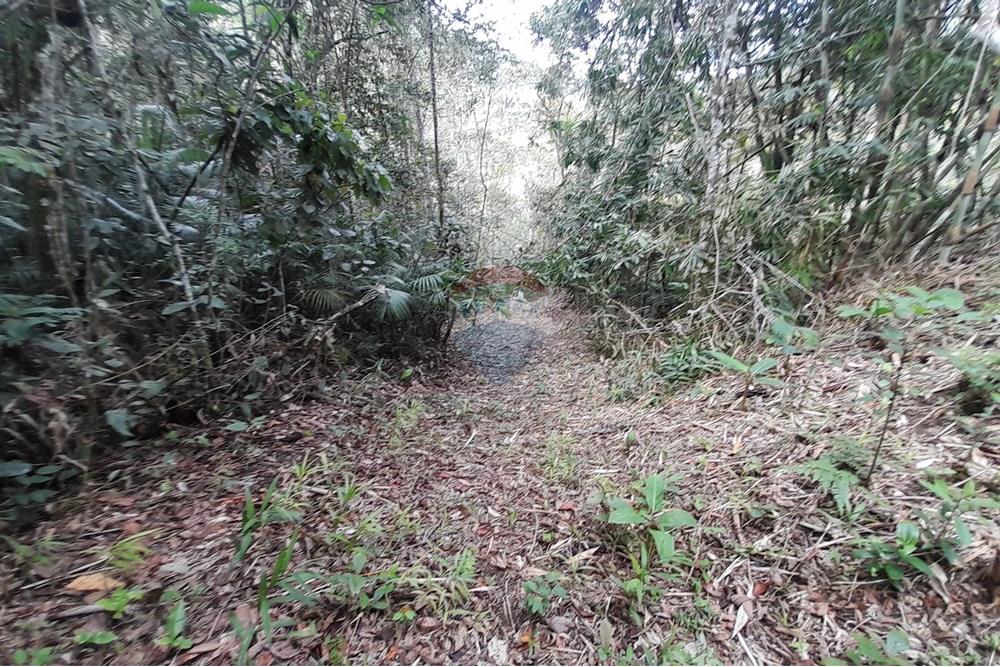 Terreno - Venda - Teresópolis , Rio de Janeiro - 20251012_092548.jpg - 630191084-20