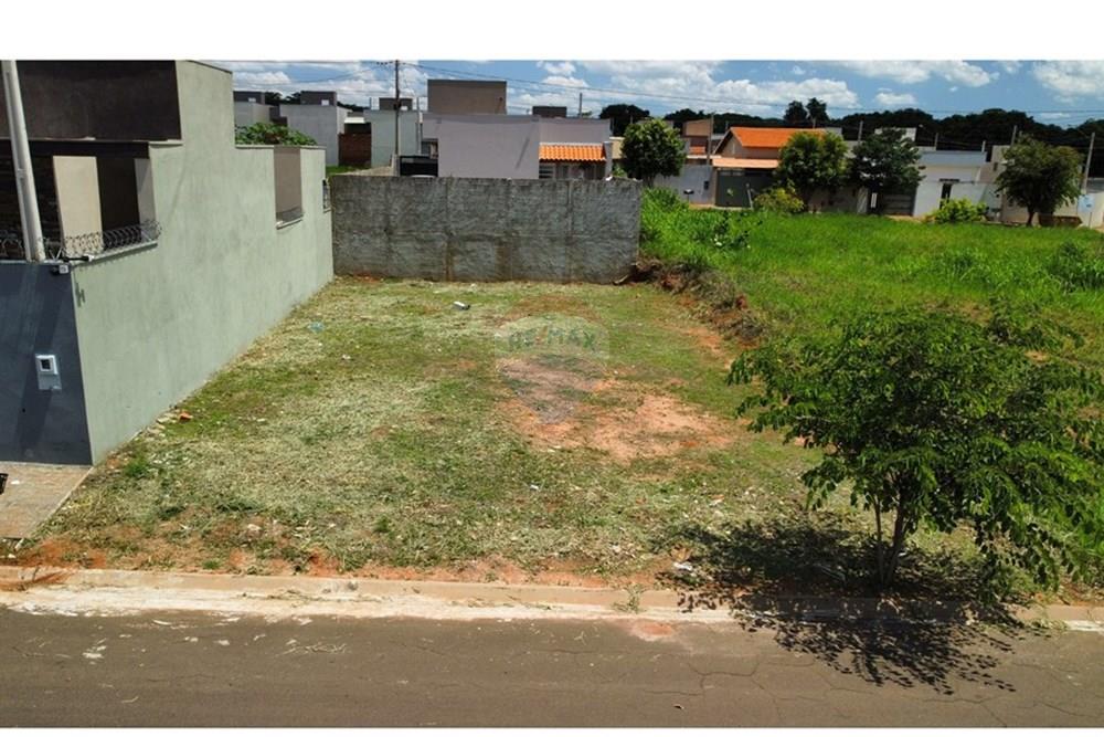 Terreno - Venda - Cedral , São Paulo - dji_fly_20241111_132332_33_1731342221960_photo_optimized.jpg - 631481001-5