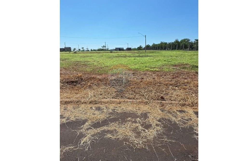 Terreno - Venda - Araçatuba , São Paulo - WhatsApp Image 2025-01-08 at 14.59.53.jpeg - 630541038-21