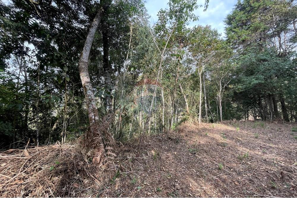 Terreno - Venda - Nova Friburgo , Rio de Janeiro - 0B56824D-C221-434B-8BFA-08C02C0159C6.JPG - 630551071-14