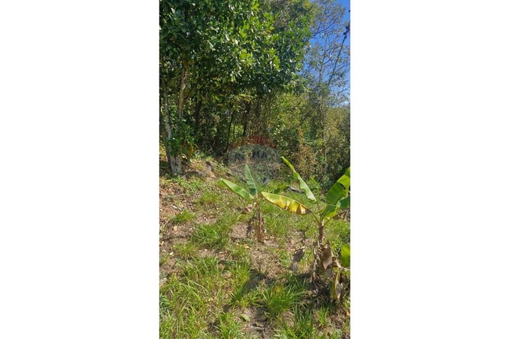 Terreno - Venda - São Roque , São Paulo - WhatsApp Image 2025-07-23 at 22.42.29.jpeg - 631601016-11