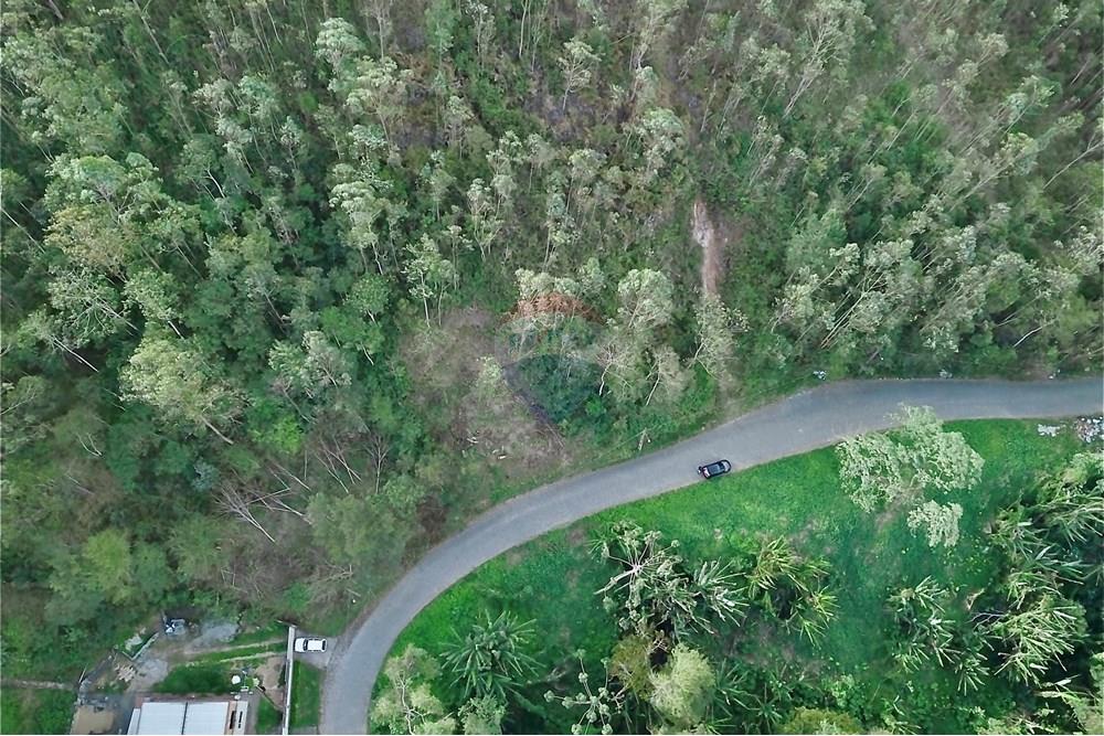 Terreno - Venda - Nova Friburgo , Rio de Janeiro - 7A96C8EA2463E08EE1142F5667C25377.jpg - 630551061-84