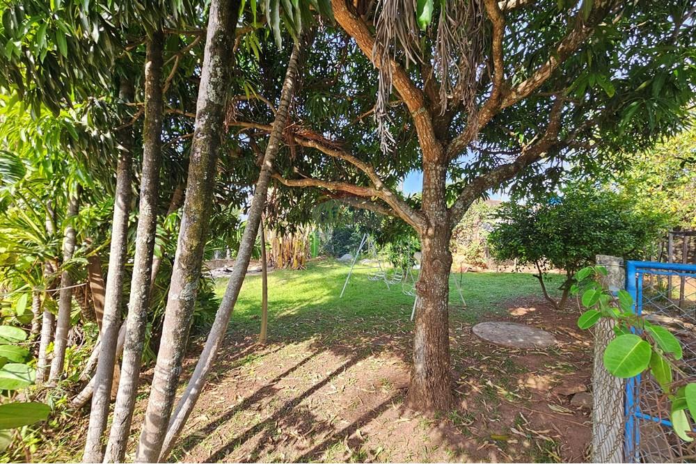 Chácara / Sítio / Fazenda - Venda - Araçoiaba da Serra , São Paulo - 20250508_141914.jpg - 630601140-26