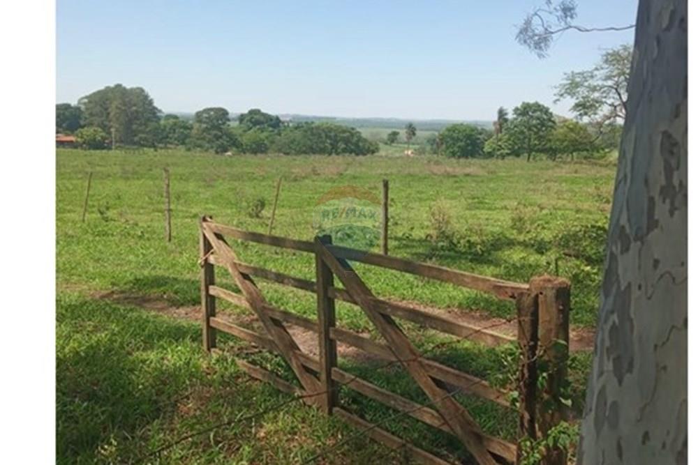 Chácara / Sítio / Fazenda - Venda - Valentim Gentil , São Paulo - WhatsApp Image 2024-11-17 at 09.37.10.jpeg - 630541038-19