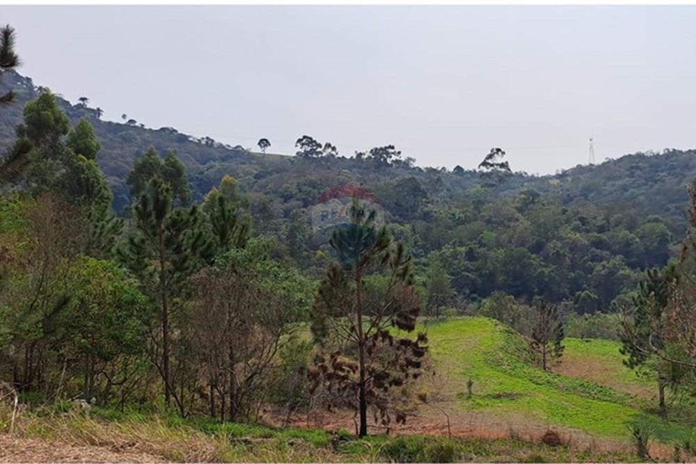 Chácara / Sítio / Fazenda - Venda - Araçariguama , São Paulo - IMG-20240913-WA0009.jpg - 631601010-7