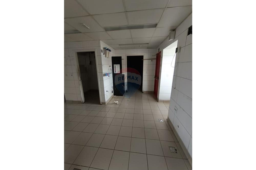 Outros - Alugar - São Roque , São Paulo - WhatsApp Image 2025-09-17 at 11.27.49 (1).jpeg - 631601009-41