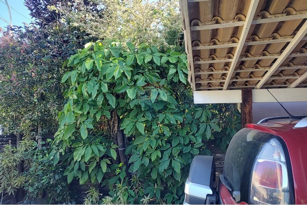 Casa de Condomínio - Venda - Maricá , Rio de Janeiro - 1f24ae84-72d8-4204-a30b-b02ccefc6b79.jpeg - 630121040-24