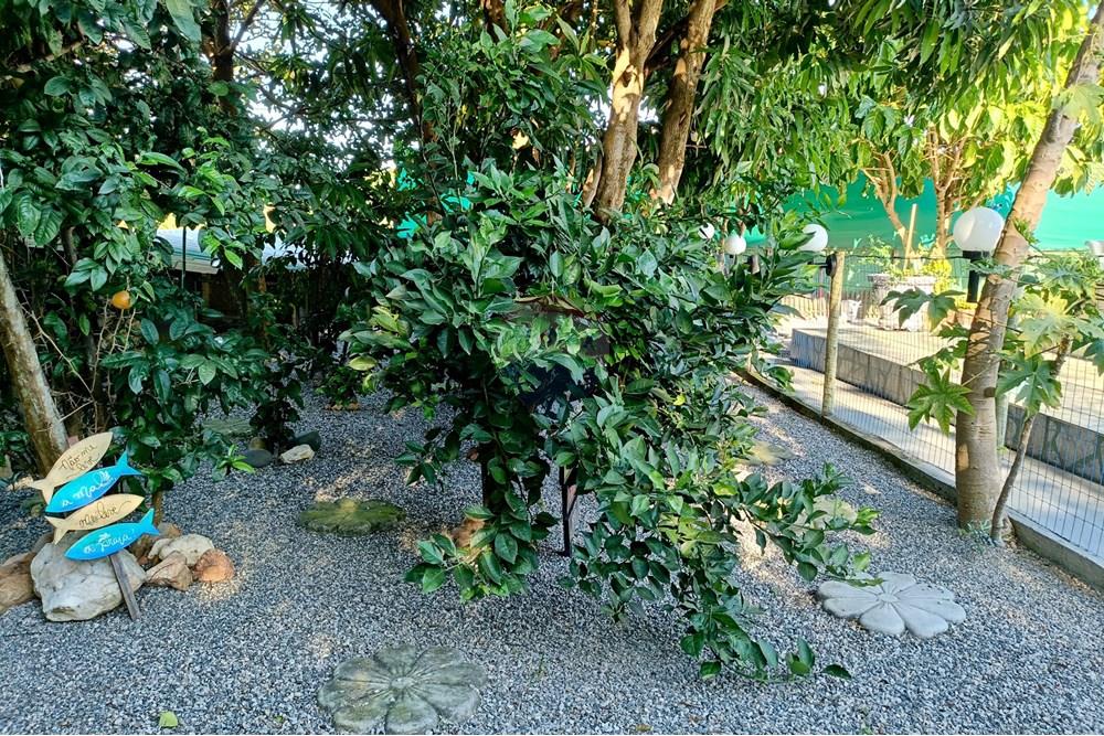 Hotel/ Pousada - Venda - Armação dos Búzios , Rio de Janeiro - IMG_20250619_235433.jpg - 630391042-25