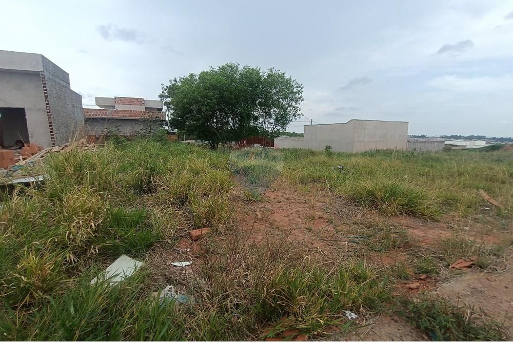 Terreno - Venda - Presidente Prudente , São Paulo - IMG_20251028_120223.jpg - 630861066-13