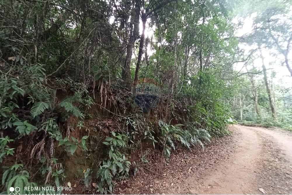 Terreno - Venda - Mairiporã , São Paulo - WhatsApp Image 2025-07-28 at 23.50.15 (2).jpeg - 631361025-37