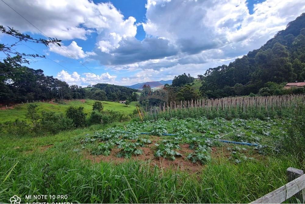 Chácara / Sítio / Fazenda - Venda - Toledo , Minas Gerais - WhatsApp Image 2025-02-28 at 19.59.30.jpeg - 630251077-56