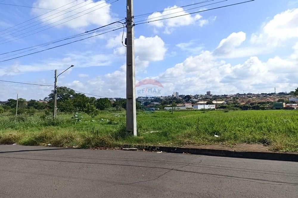 Terreno - Venda - Andradina , São Paulo - WhatsApp Image 2025-04-10 at 14.51.01.jpeg - 631201029-40