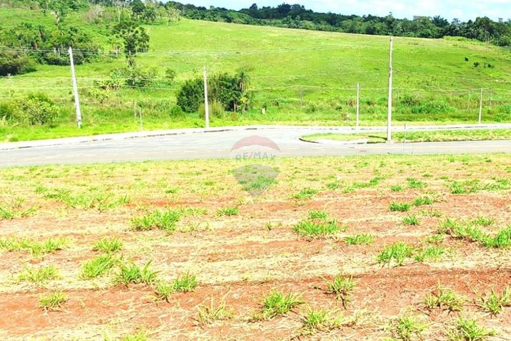 Terreno - Venda - Mogi das Cruzes , São Paulo - Imagem do WhatsApp de 2025-02-17 à(s) 11.21.25_3b2478ad.jpg - 630281041-88