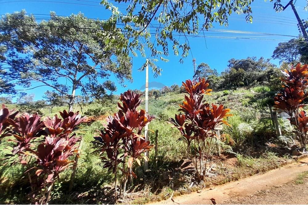 Terreno - Venda - Teresópolis , Rio de Janeiro - e5f40dfc-234f-4cb3-b3ff-e450b9b4fa74.jpg - 630191084-11