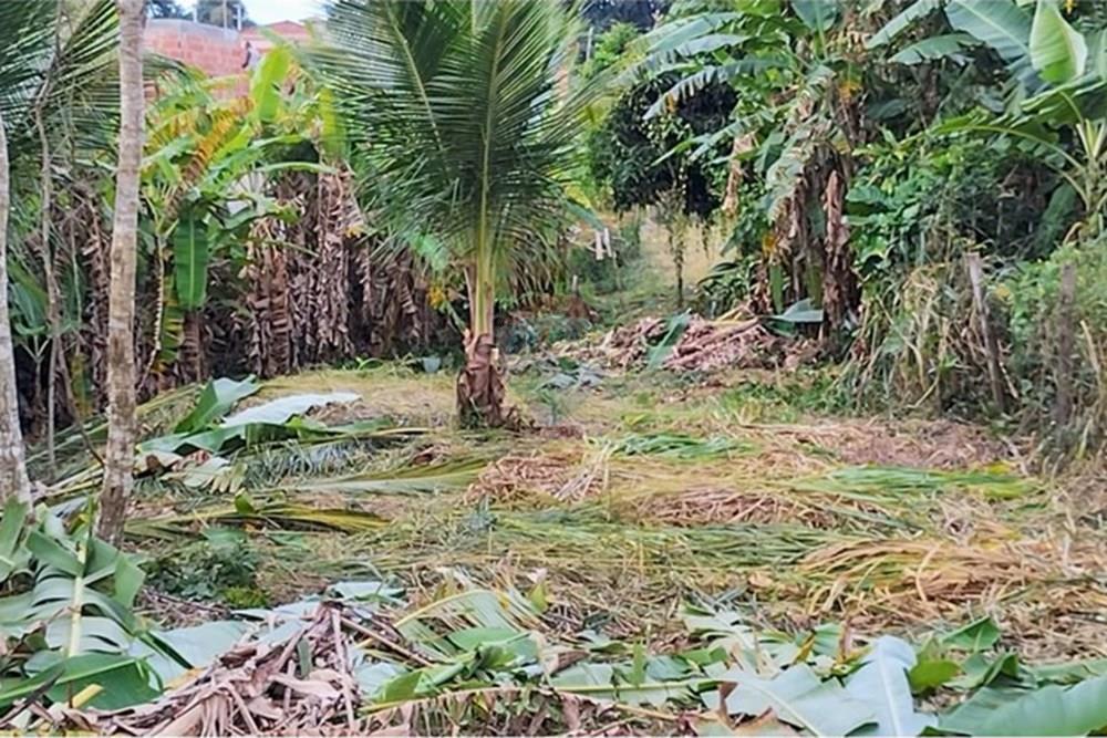 Terreno - Venda - Armação dos Búzios , Rio de Janeiro - WhatsApp Image 2025-05-29 at 13.32.03 (1).jpeg - 630391085-9