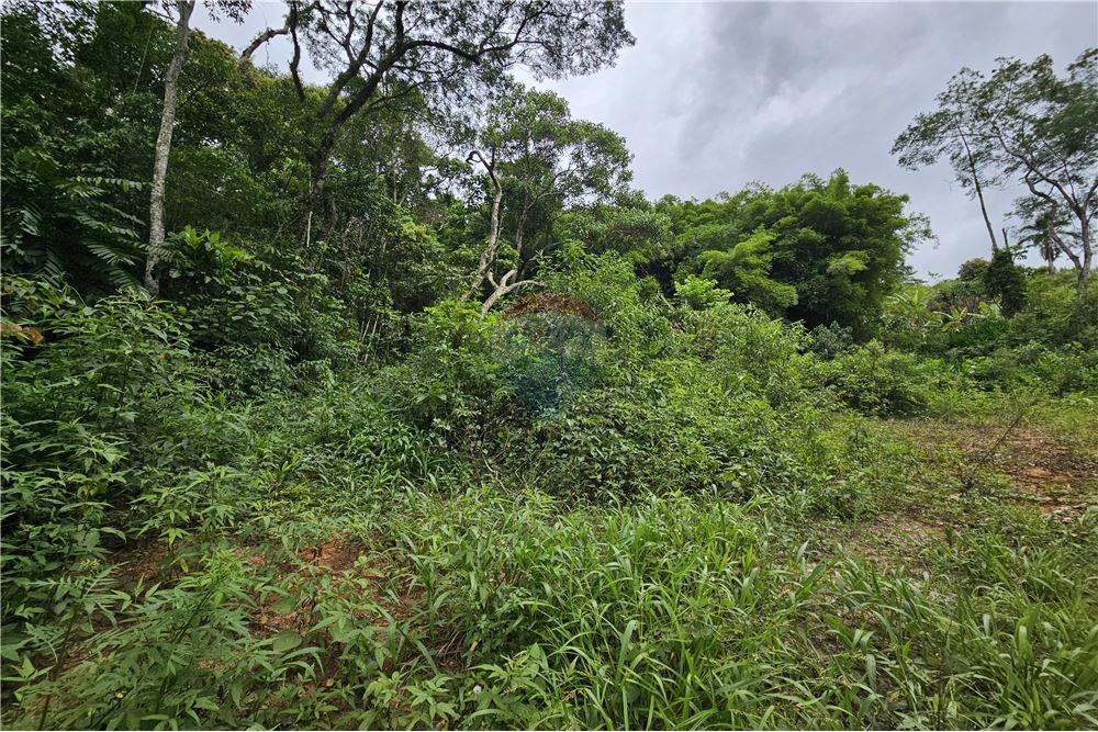 Terreno - Venda - Nova Friburgo , Rio de Janeiro - 40 - 630551016-143