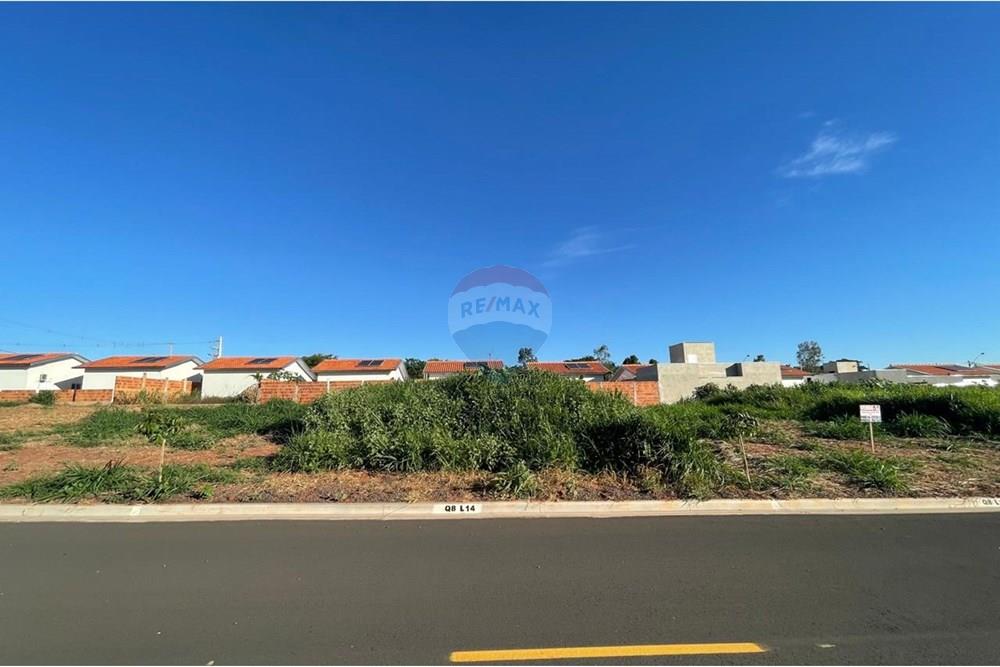 Terreno - Venda - Bady Bassitt , São Paulo - WhatsApp Image 2025-01-14 at 17.34.39 (5).jpeg - 631481002-92