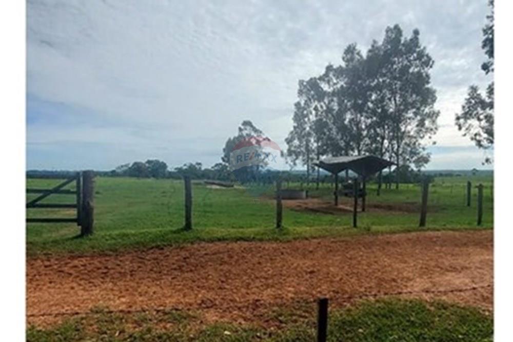 Chácara / Sítio / Fazenda - Venda - Araçatuba , São Paulo - WhatsApp Image 2024-10-29 at 14.36.52.jpeg - 630541038-37