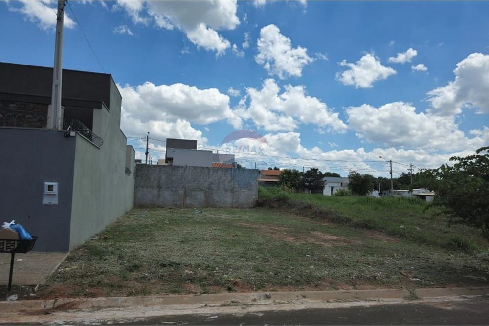 Terreno - Venda - Cedral , São Paulo - WhatsApp Image 2024-11-11 at 15.33.01 (3).jpeg - 631481001-5