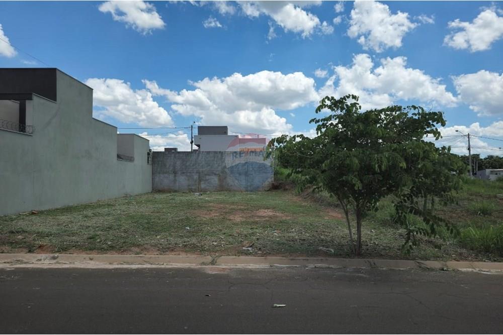 Terreno - Venda - Cedral , São Paulo - WhatsApp Image 2024-11-11 at 15.33.02 - Copia.jpeg - 631481001-5