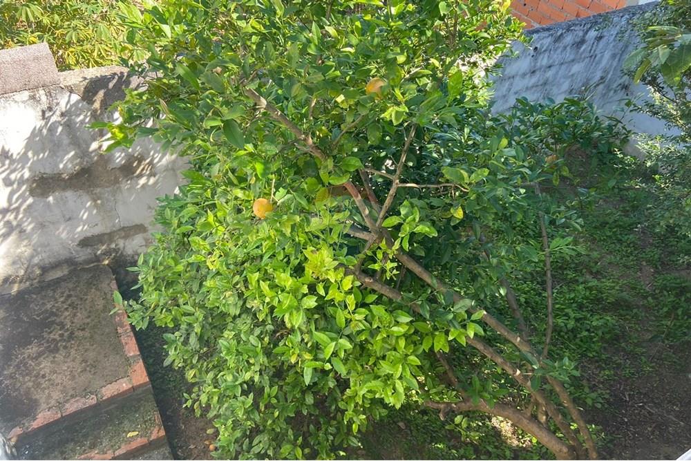 Casa - Alugar - Salto de Pirapora , São Paulo - WhatsApp Image 2025-05-19 at 14.37.40.jpeg - 631181025-309