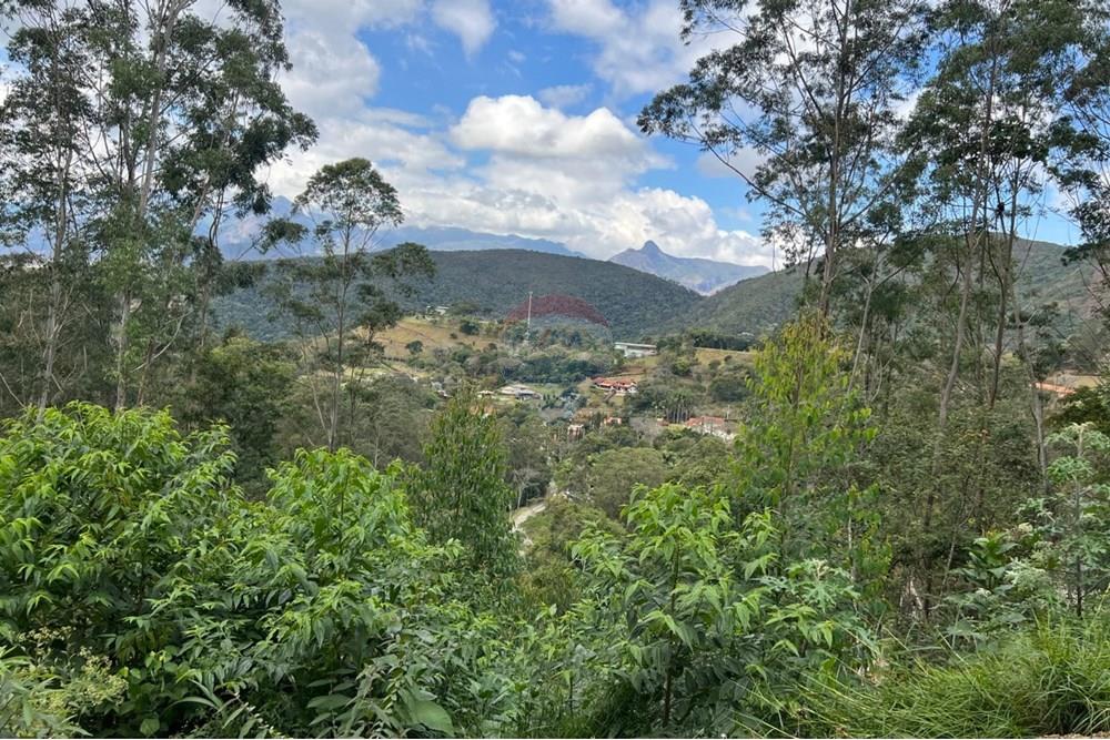 Terreno - Venda - Petrópolis , Rio de Janeiro - WhatsApp Image 2025-08-15 at 16.58.26.jpeg - 630131062-39