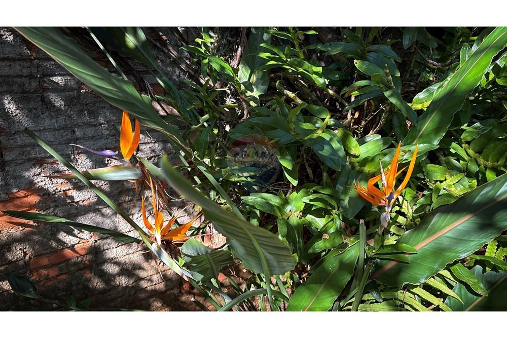 Casa - Venda - Botucatu , São Paulo - 31-DJI_20250408_091150_958.jpg - 630111014-73