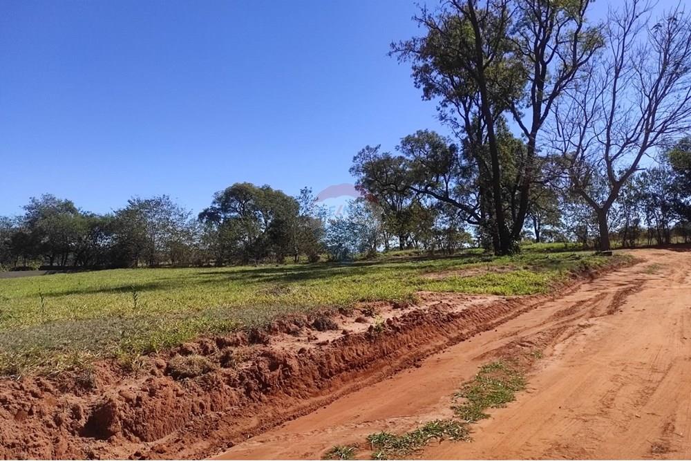 Terreno - Venda - Paranapanema , São Paulo - WhatsApp Image 2025-09-10 at 14.52.05 (3).jpeg - 630481140-2