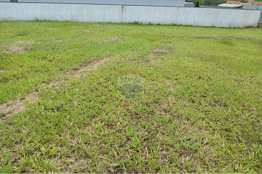 Terreno - Venda - Salto de Pirapora , São Paulo - WhatsApp Image 2025-01-28 at 09.57.59 (1).jpeg - 631181028-61