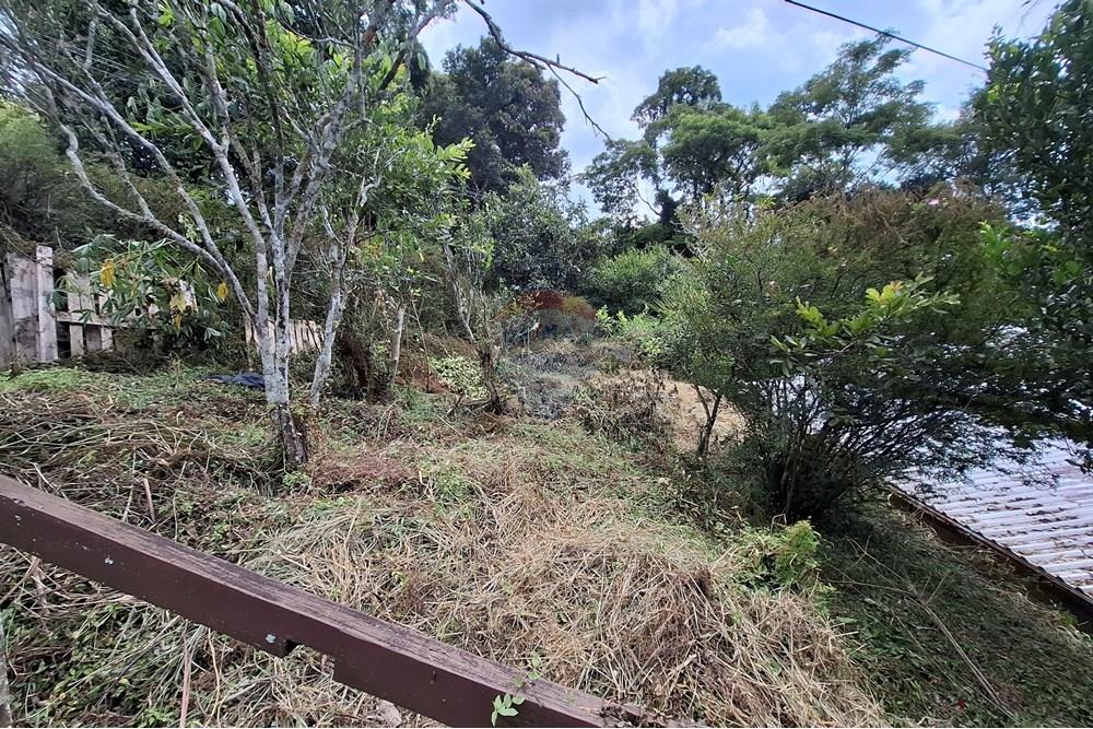 Casa - Venda - Nova Friburgo , Rio de Janeiro - 17.jpg - Quintal - 630551089-1