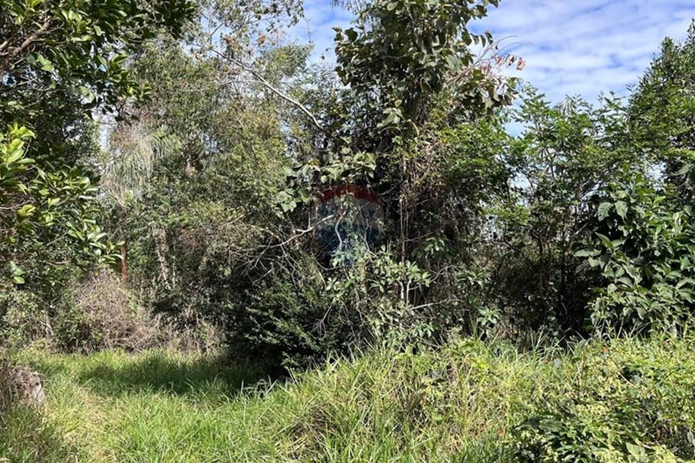 Terreno - Venda - Cabreúva , São Paulo - foto 9.jpg - 630531013-11