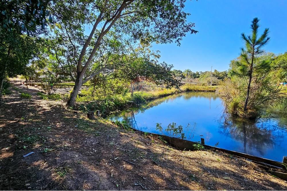 Fazenda - Venda - Botucatu , São Paulo - IMG-20250717-WA0040.jpg - 630111096-7