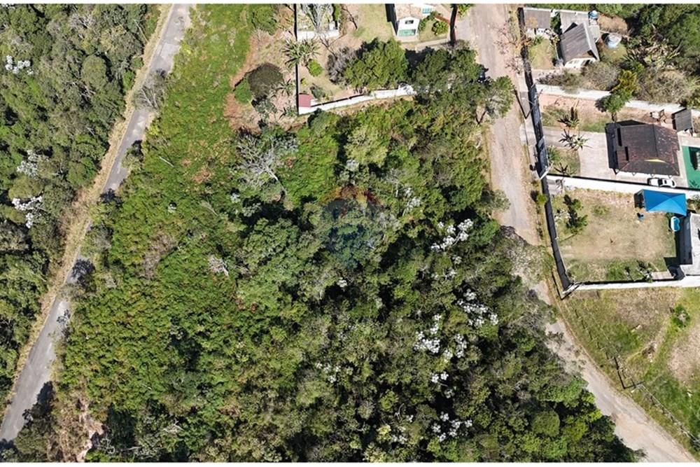 Terreno - Venda - Mogi das Cruzes , São Paulo - DJI_20250911140849_0670_D.JPG - 631251050-24