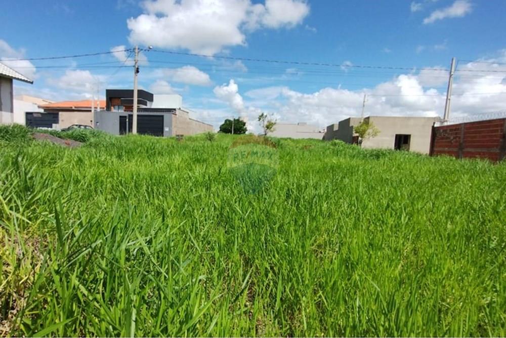 Terreno - Venda - Bady Bassitt , São Paulo - Tangará V06 10.jpg - 631381005-35