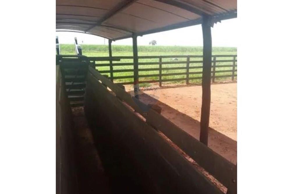 Chácara / Sítio / Fazenda - Venda - Junqueirópolis , São Paulo - WhatsApp Image 2024-10-26 at 10.20.01.jpeg - 630541038-36